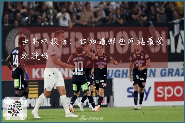 世界杯投注：你知道哪些网站最受欢迎吗