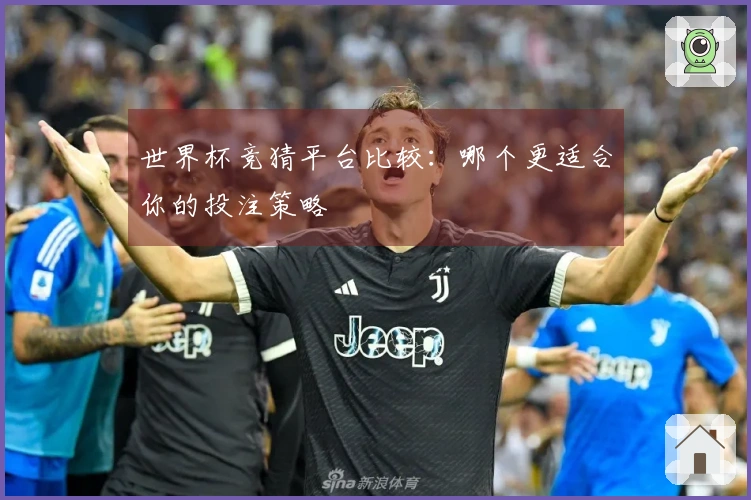 世界杯竞猜平台比较：哪个更适合你的投注策略