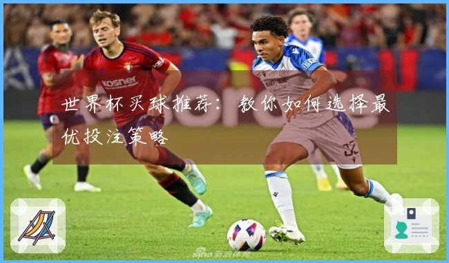 世界杯买球推荐：教你如何选择最优投注策略