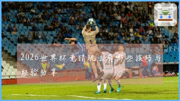 2026世界杯竞猜玩法有哪些技巧与经验分享