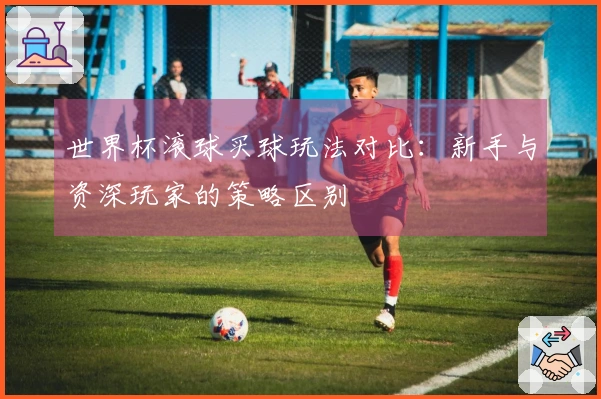 世界杯滚球买球玩法对比：新手与资深玩家的策略区别