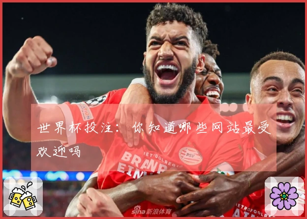 世界杯投注：你知道哪些网站最受欢迎吗