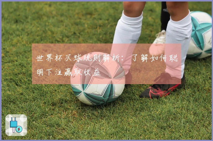 世界杯买球规则解析：了解如何聪明下注赢取收益